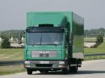 MAN TGL 8.210 2005 года